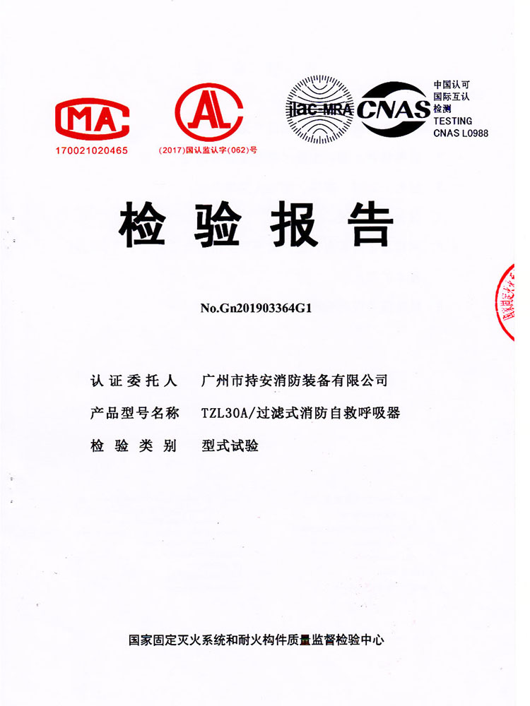 The Inspection Repor